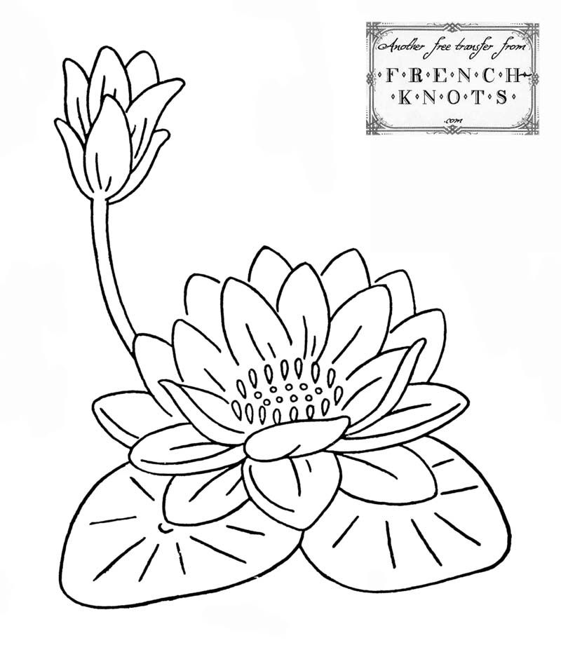 Water Lilies Embroidery Transfer Patterns