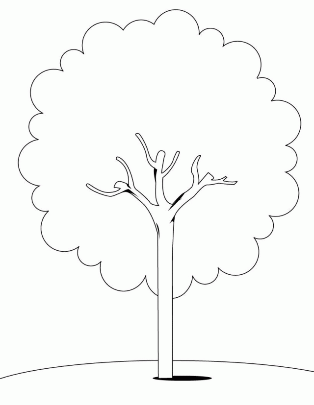 Tree Coloring Pages 2 Jpg 216240 Family Tree Coloring Page
