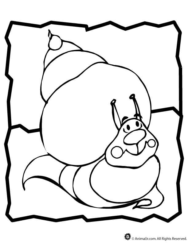 e snail Colouring Pages