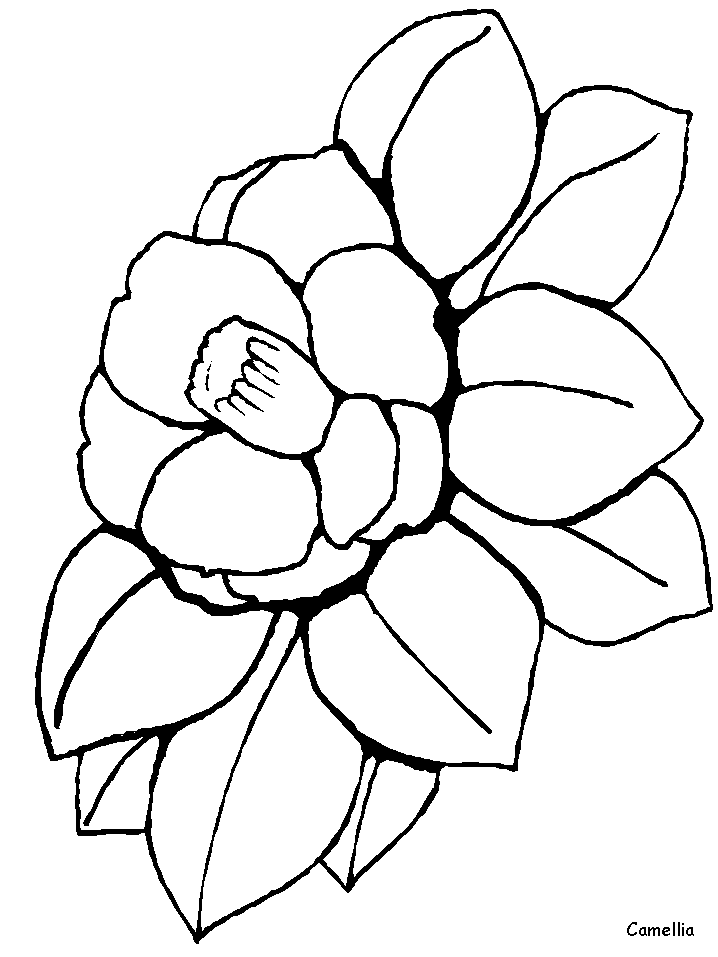 Black And White Coloring Pages - Coloring Home