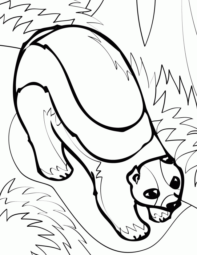 Wolverine Coloring Page Handipoints 168319 Arctic Animals Coloring 