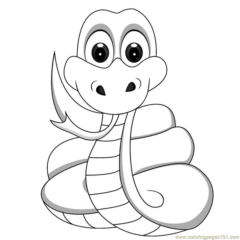 Coloring Pages Baby snake (Reptile > Snake) - free printable 
