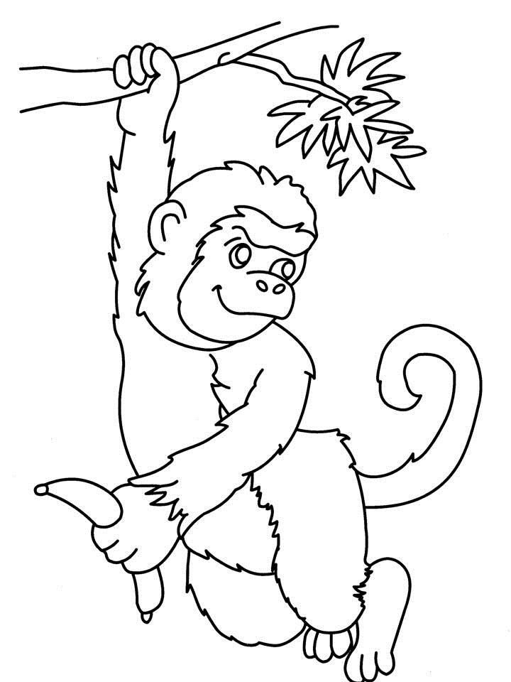Monkey coloring pages | animals coloring page | animal coloring 