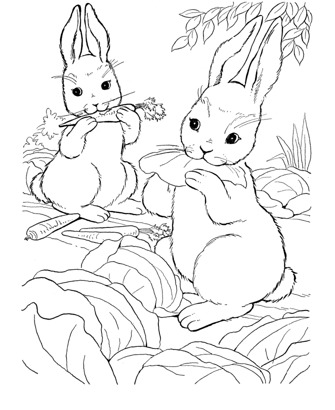 Farm Animal Coloring Pages | Wild Bunny Rabbit Coloring Page and 