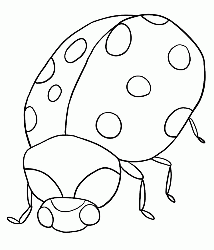Big Ladybug Coloring Pages - Animal Coloring Coloring Pages : Pin 