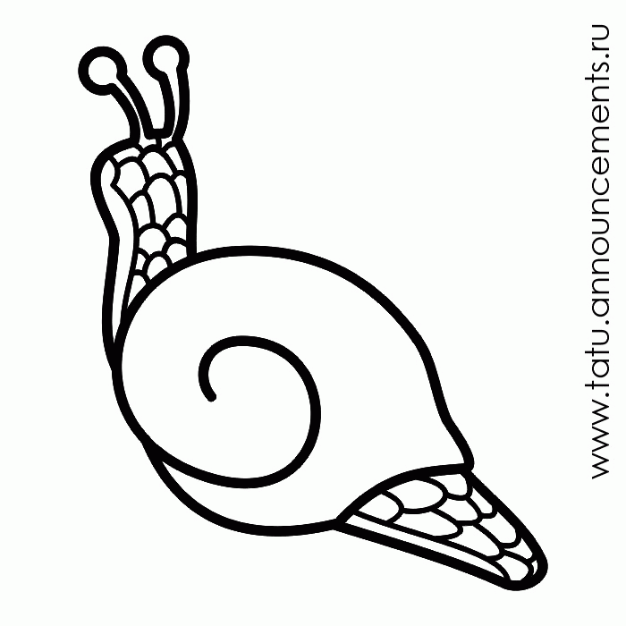 Qualitative Black And White Figure The Image Of Snail Tattoo