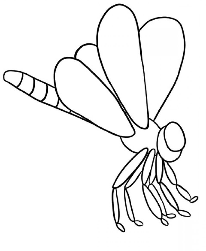 A Beautiful Dragonfly Coloring Pages - Kids Colouring Pages