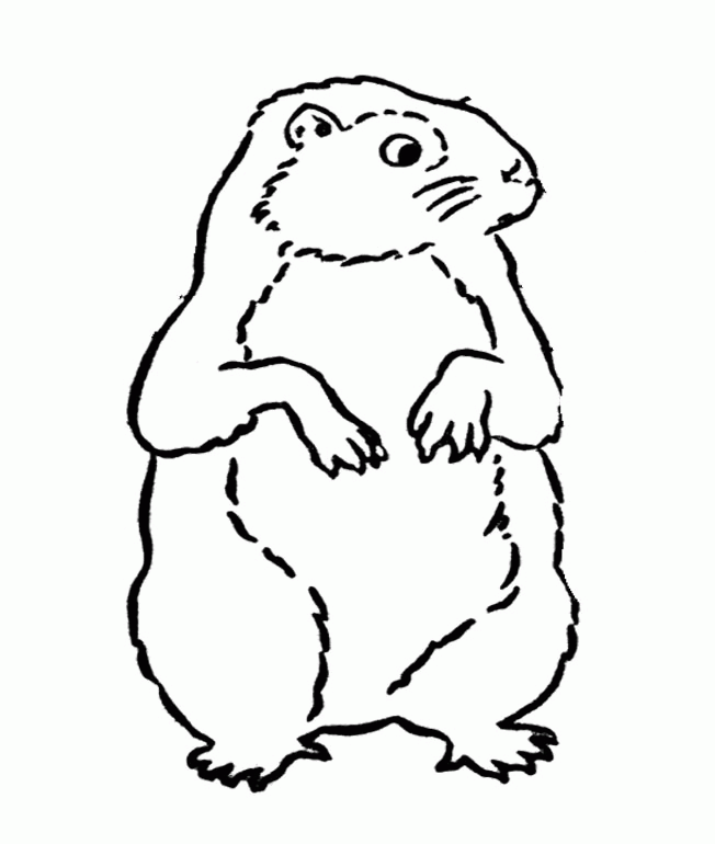 Download Groundhog Coloring Page Or Print Groundhog Coloring Page 