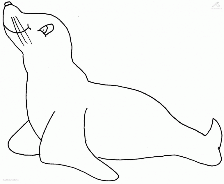 Animal Coloring Print Out And Share This Printable Sea Lion 