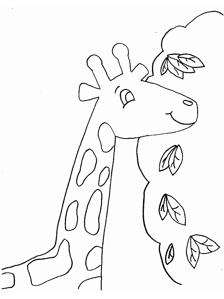 Giraffe Coloring Pages Hhkpp