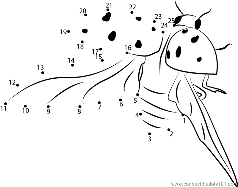 Connect the Dots Flying Ladybug (Insects > Ladybug) - dot to dots 