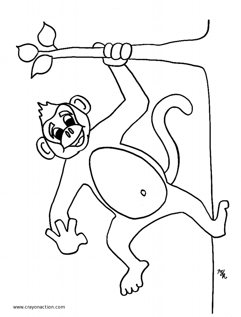 Monkey coloring pages | Monkey coloring page | #7 Free Printable 