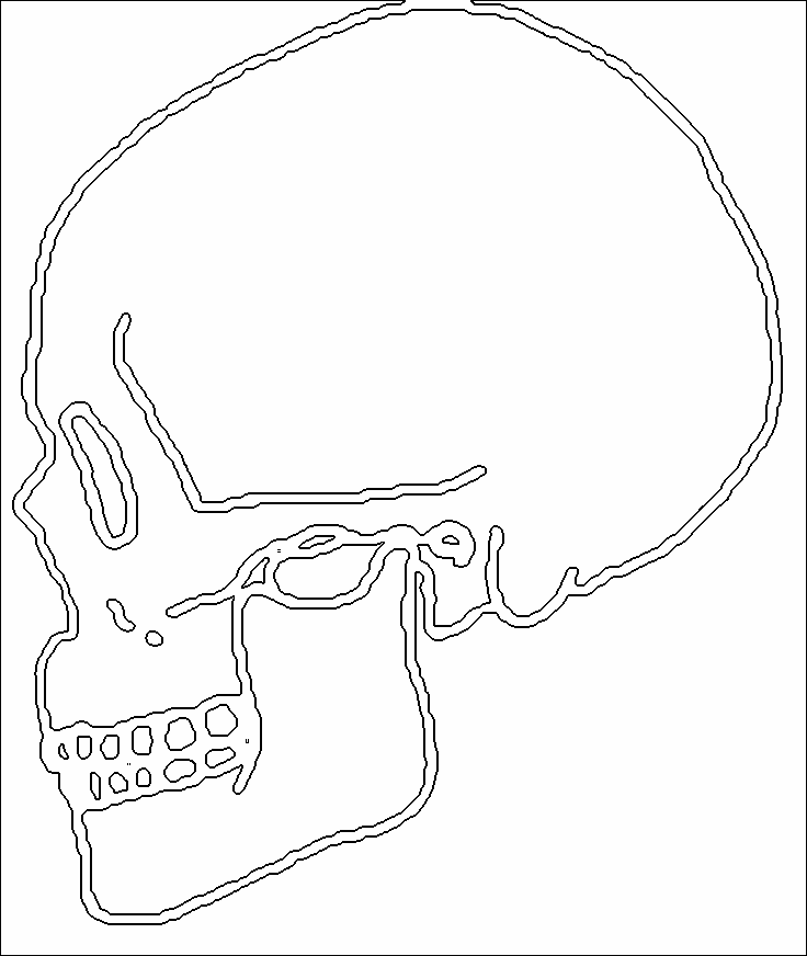 Halloween Coloring Sheets: Human Skull Drawing
