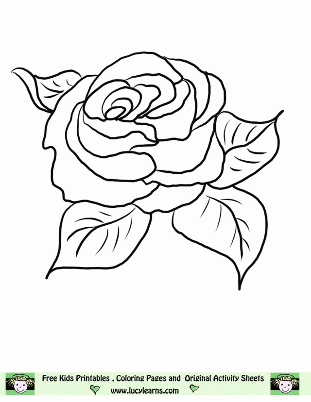 Free Printable Pictures Of Roses Coloring Home