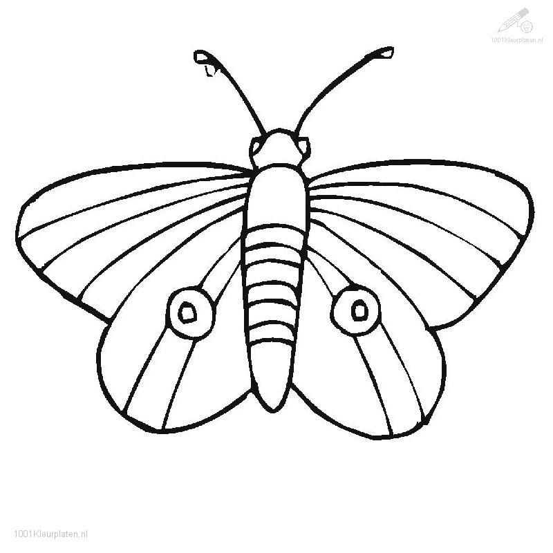 Wonderful Butterfly coloring pages | Coloring Pages