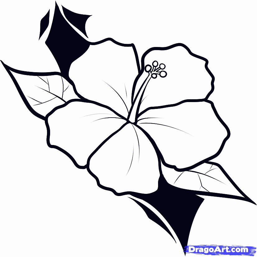 Outline Hawaiian Flower Tattoo Design