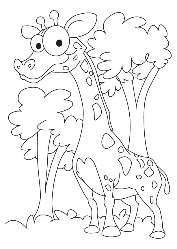 Mini giraffe coloring pages | Download Free Mini giraffe coloring 
