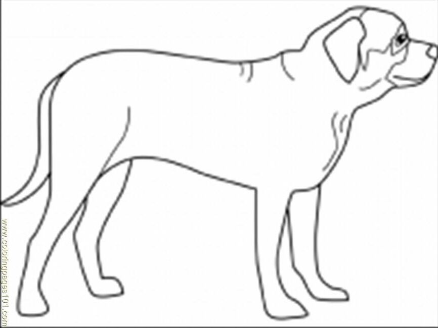 Coloring Pages Dogs Coloring Pages Mastiff (Cartoons > 101 