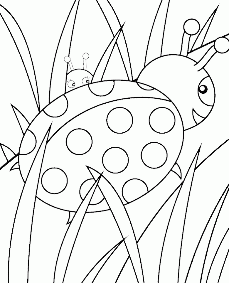 Printable-Ladybug-Coloring- 