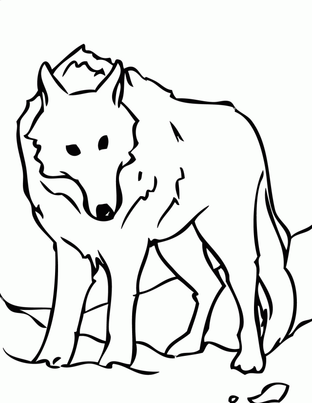 Arctic Wolf Coloring Pages Coloring Online Coloring Games 196630 