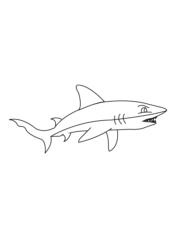 Coloring Pages - Shark