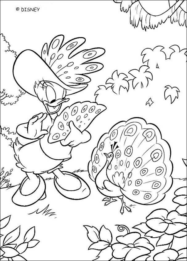 Peacock Colouring Pages