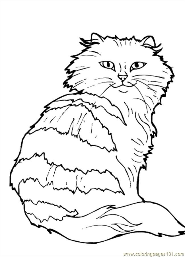 Coloring Pages Cat4 (Mammals > Cats) - free printable coloring 