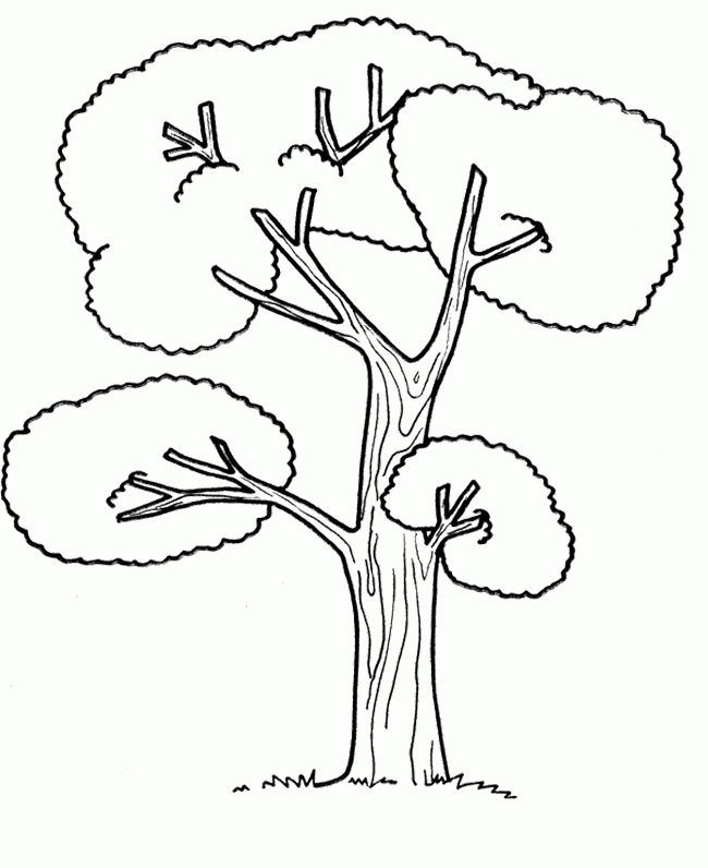 Tree Coloring Pages : The Big Tree Coloring Page Kids Coloring Art