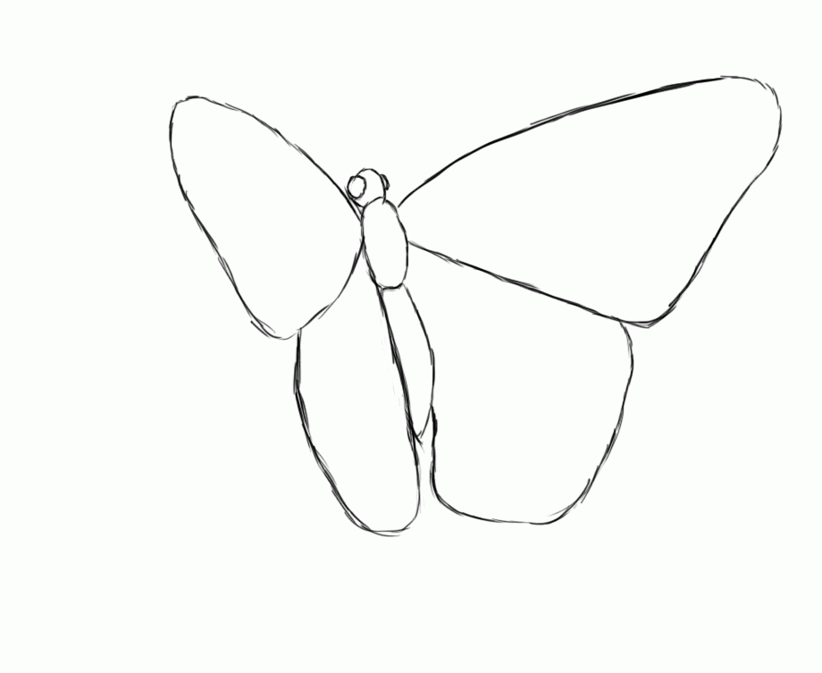 How to Draw a Butterfly | Draw Central