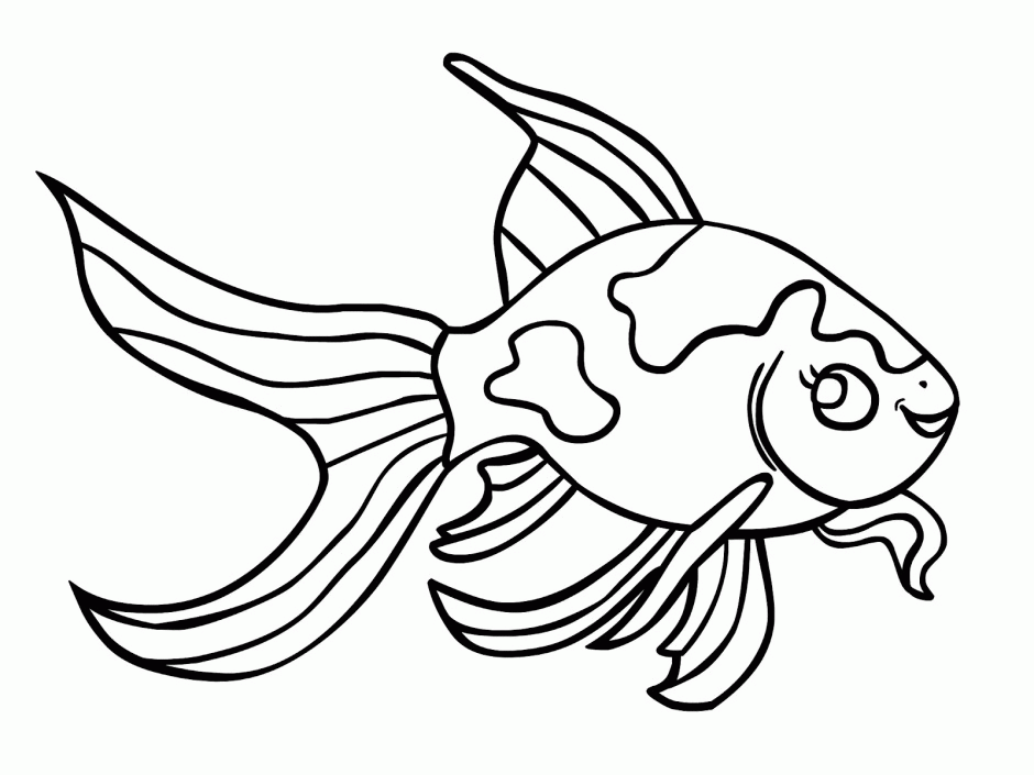 Goldfish Betta Fish Coloring Pages Printable Coloring Book Ideas 