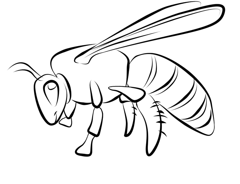FREE Bee Coloring Picture 3