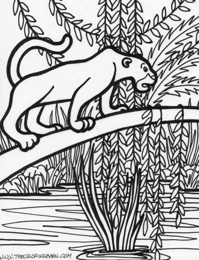 Safari Animals Online Coloring Pages Page Jungle Animal Coloring 
