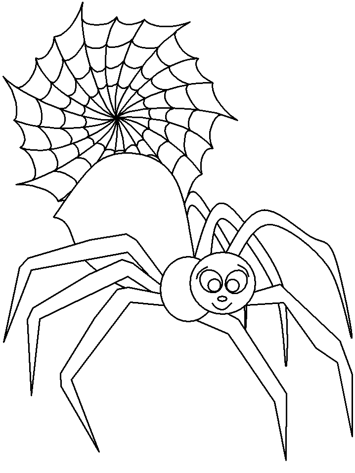 Spider Coloring