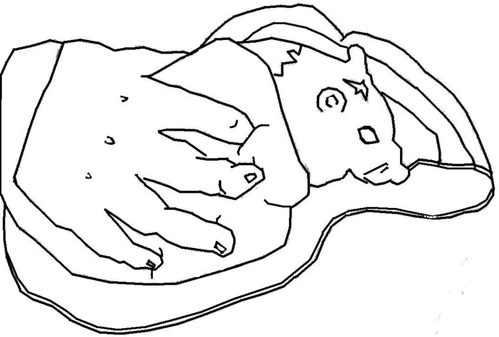 Webkinz Coloring Page Coloring Page For KidsFree Coloring - Coloring Home