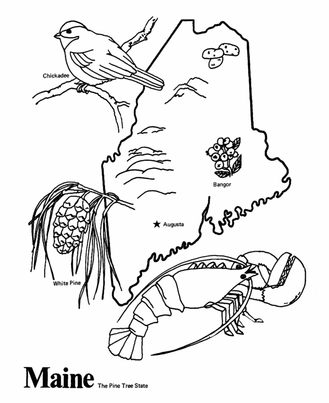 50 States Coloring Pages | Geography