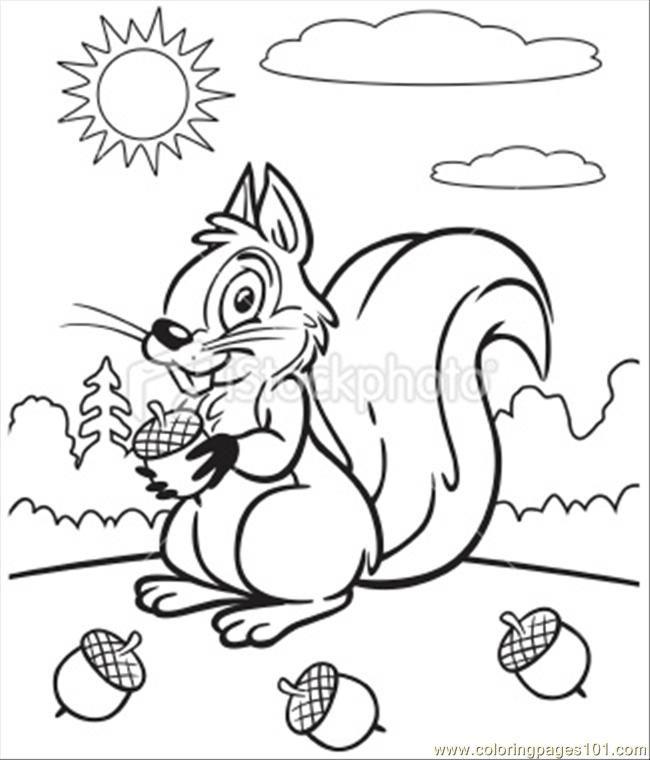 Coloring Pages Coloring Book Of Squirrel (Mammals > Squirrel 