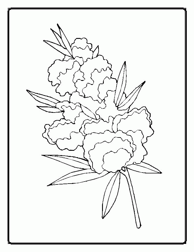 free-coloring-flowers-coloring-home