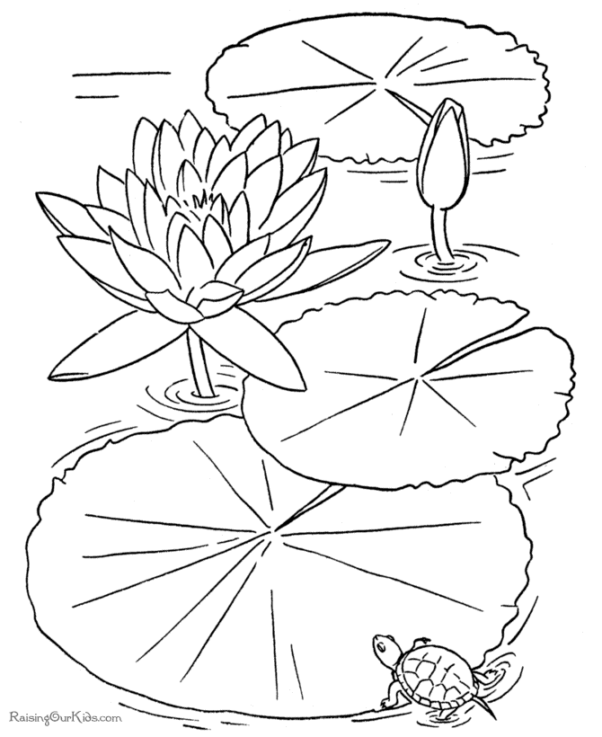 Flower Coloring Book Pages 73 | Free Printable Coloring Pages