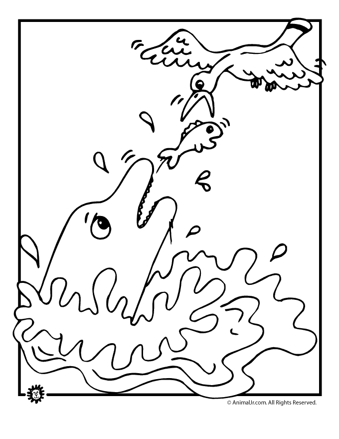 Seagull Coloring Pages 185 | Free Printable Coloring Pages