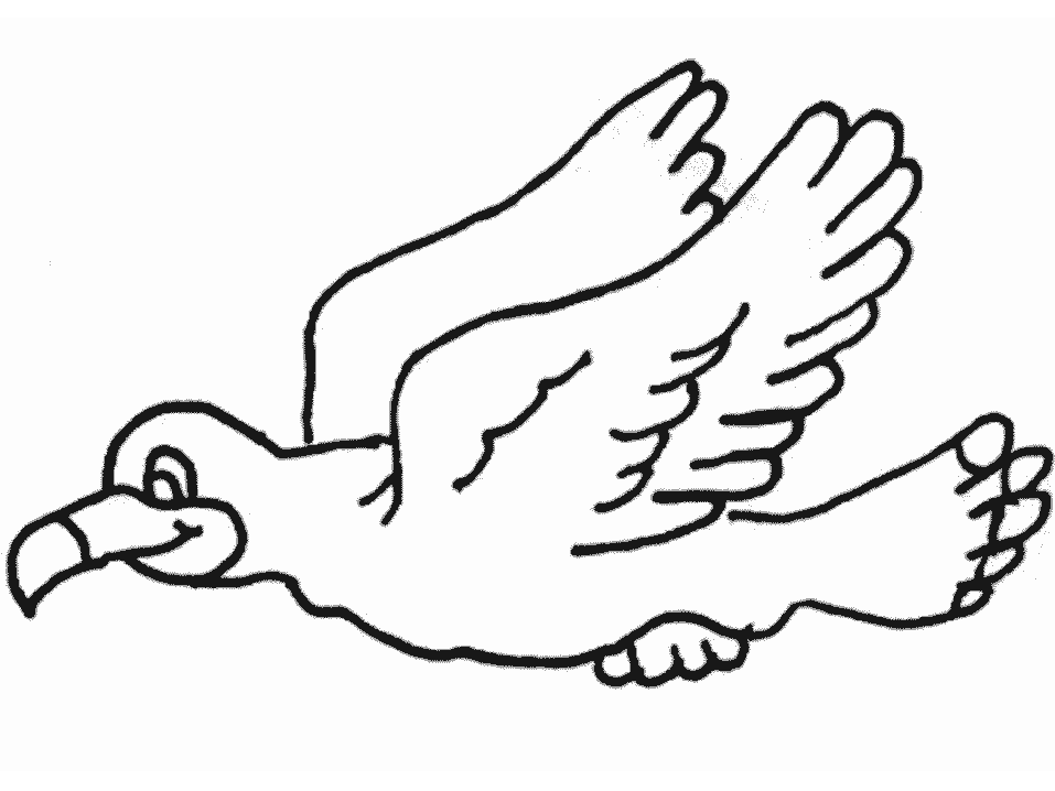 Seagull coloring pages | Coloring-