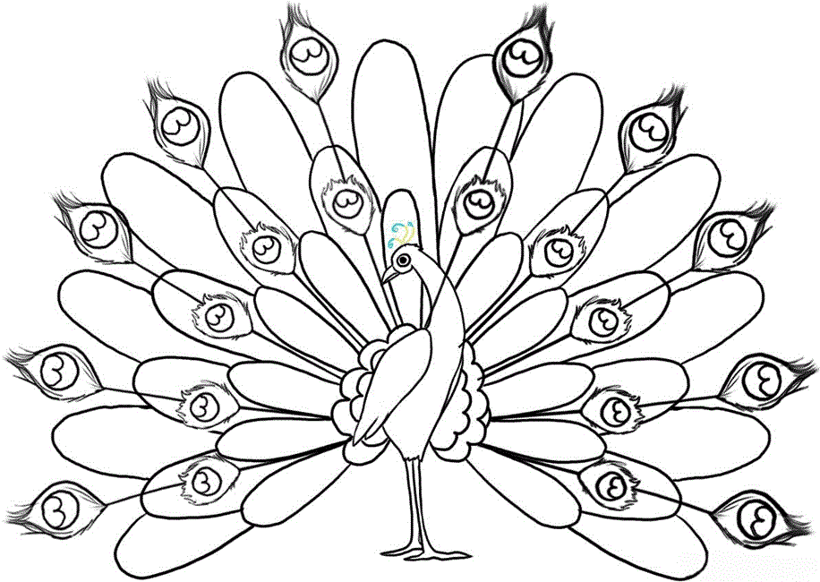 Coloring Pages Peacock Coloring Home