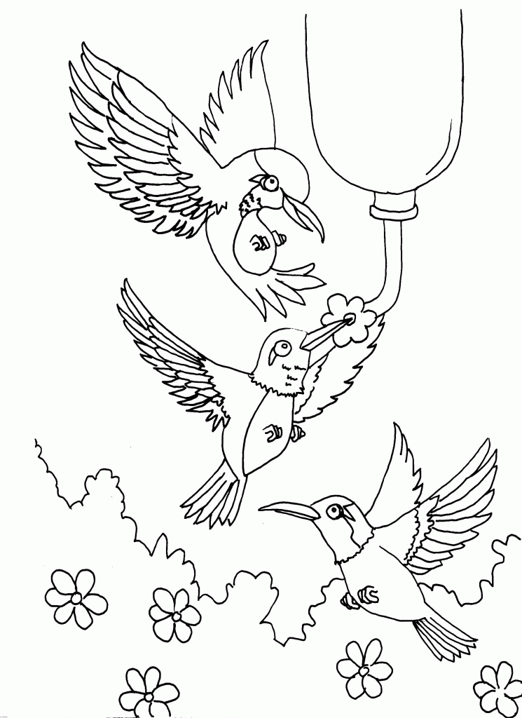 Printable Hummingbird Coloring Pages for kids | COLORING WS
