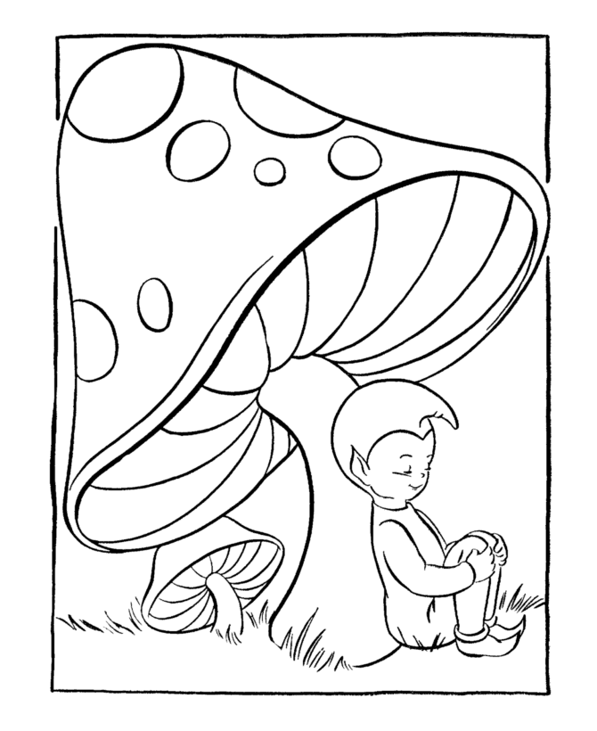 hidden animal coloring pages