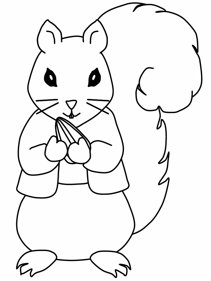 Printable Squirrel9 Animals Coloring Pages