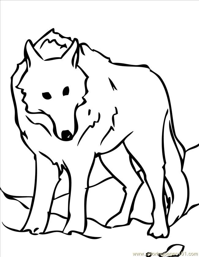 Coloring Pages White Wolf Ink (Mammals > Wolf) - free printable 