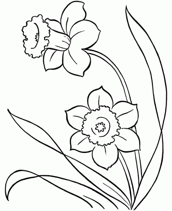 Flower : Flowers Spring Coloring Pages Preschool, Flower - Coloring Home