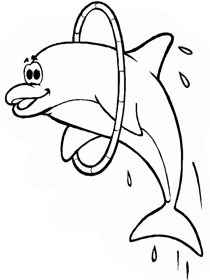 Dolphins K9 Animals Coloring Pages & Coloring Book