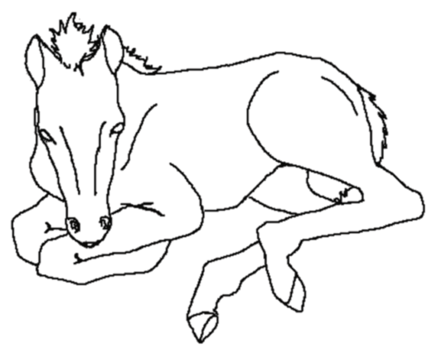 Animal Coloring Horse Coloring Online Horse 9 Coloring Page 