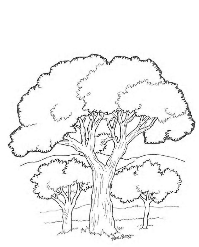 Trees and leaves Coloring Pages 10 | Free Printable Coloring Pages 