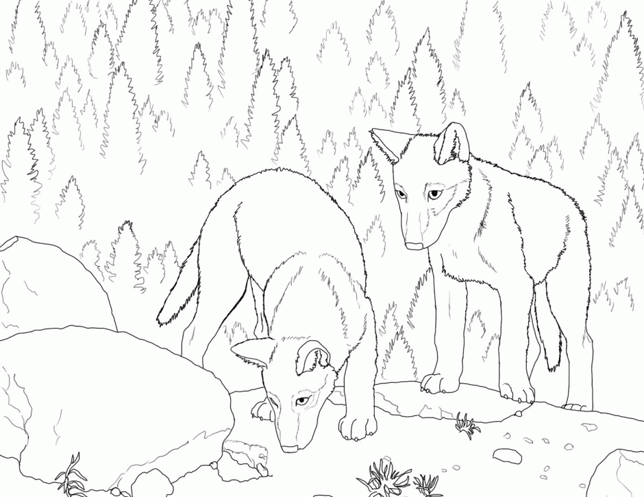 Cute Wolf Coloring Page 1381 Free 144419 Wolves Coloring Pages